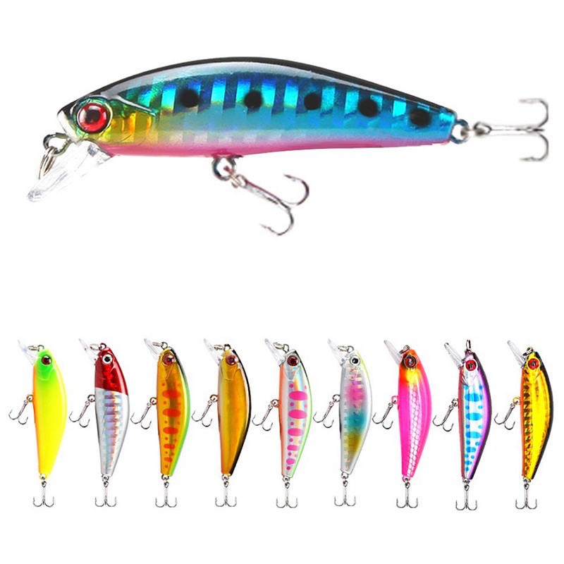 LURE MINNOW COLORFULL 58mm