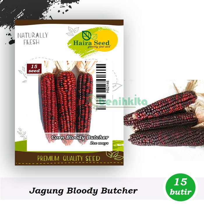 Benih-Bibit Jagung Ornamental Bloody Butcher (Haira Seed)