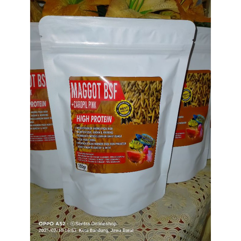 Maggot 100gr + Super Pink (Pakan Chana,Louhan,Oscar,Koi,Pbass ,Arwana)