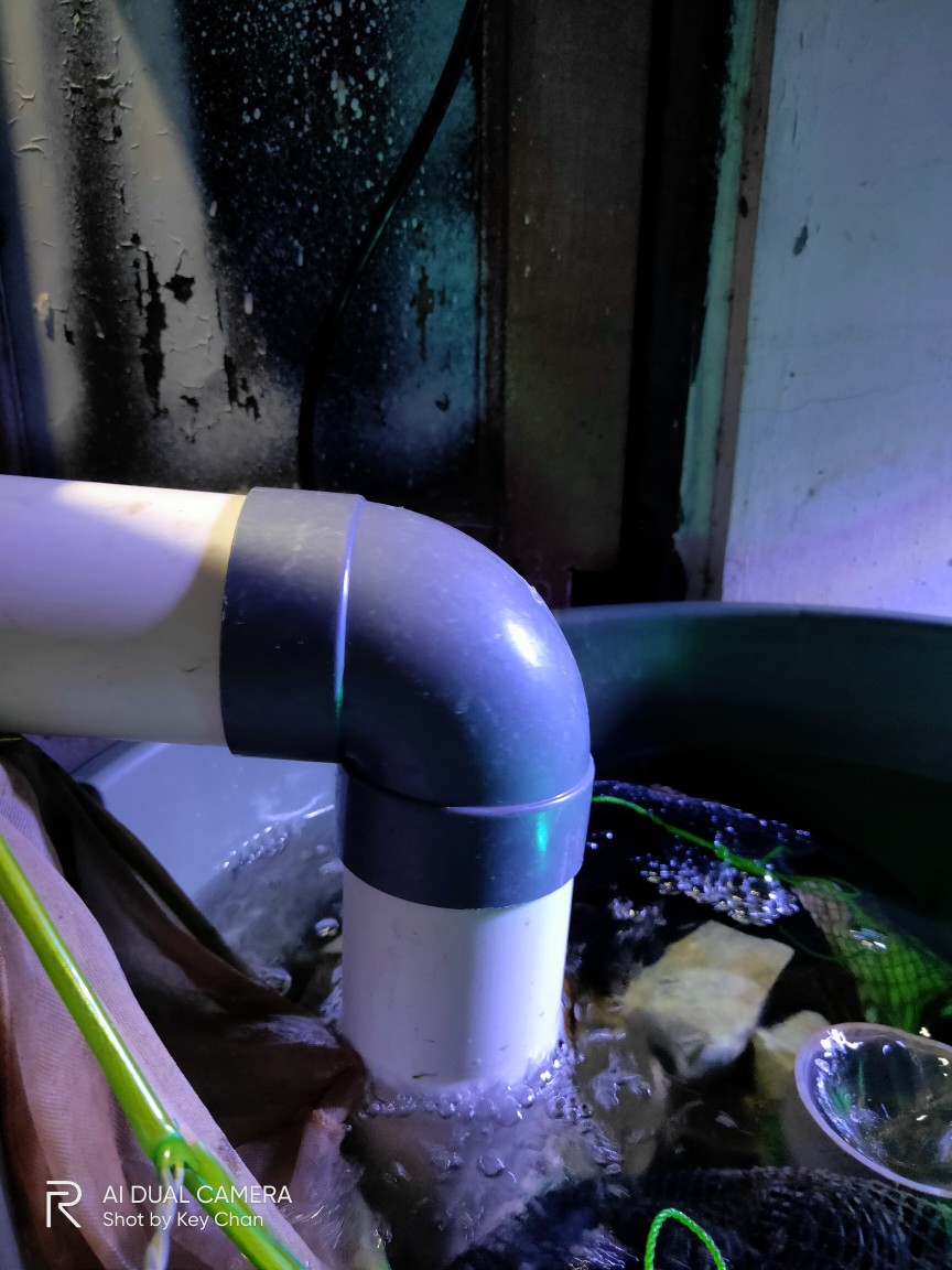 Knee 2 Inchi Trilliun - Elbow Keni Bengkok Sambungan Paralon Pipa Pvc