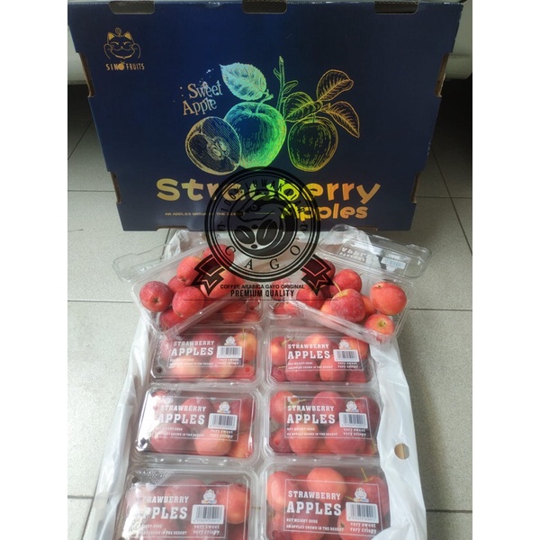 

Apel Candy / Strawberry Apple 1 Dus (10 Pack) Fresh Import