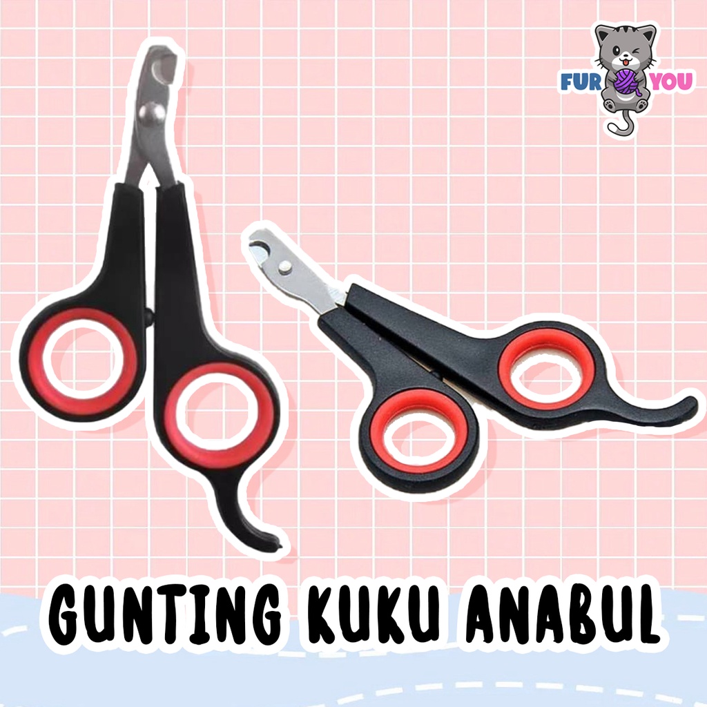 Gunting Kuku Anabul