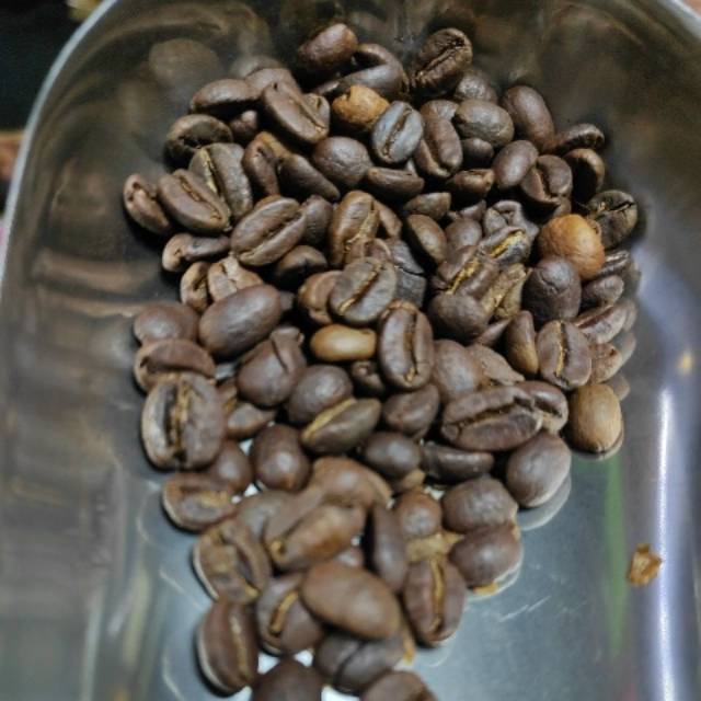 

arabica gayo