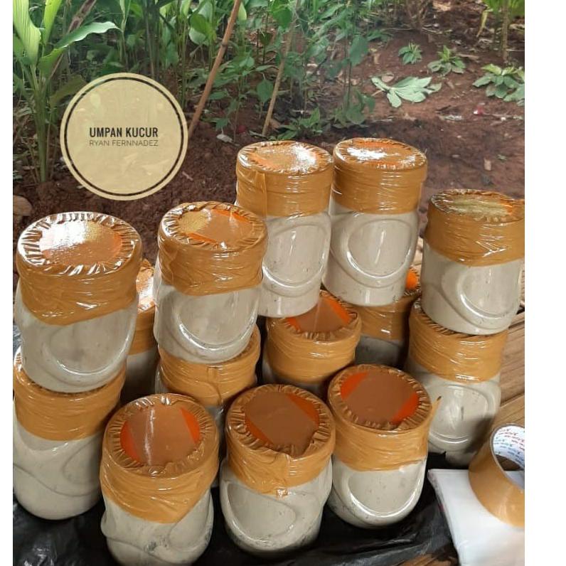 Harga Spesial.. Umpan Kucur Super Ryan Fernandez