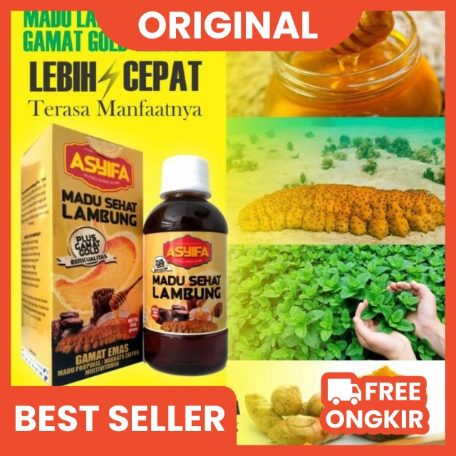 madu sehat lambung asyifa plus gamat emas maag asam lambung kronis tipes