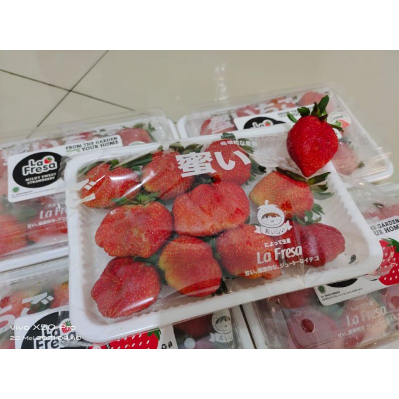 

Strawberry Jepang La Fresa Manis Seger