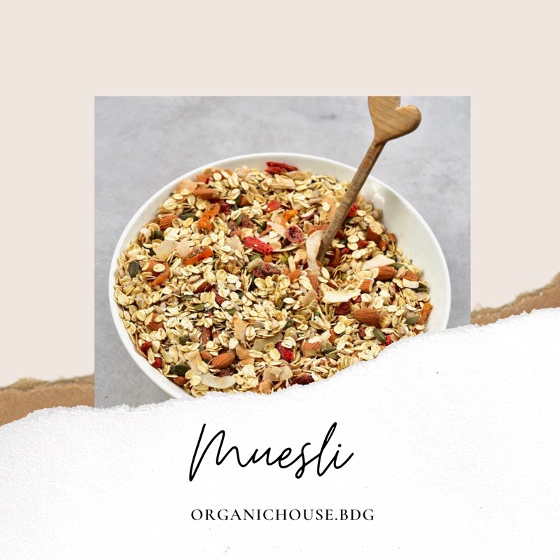 

muesli organik raw 500gram, granola organic unsweetened mentah with died fruit 500gr