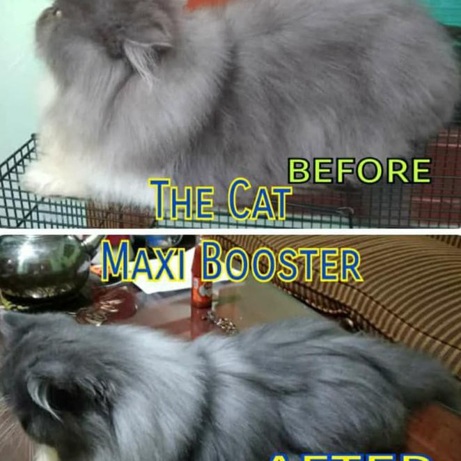 Nutrisi Hewan / Vitamin Kucing Maxi Booster