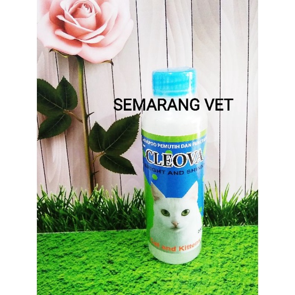 CLEOVA Sampo Kucing Shampo Kucing Shampoo Kucing Bulu Putih Pemutih dan Pencerah