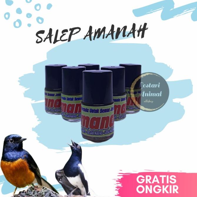 Salep Amanah Obat Untuk Burung Drop Mental