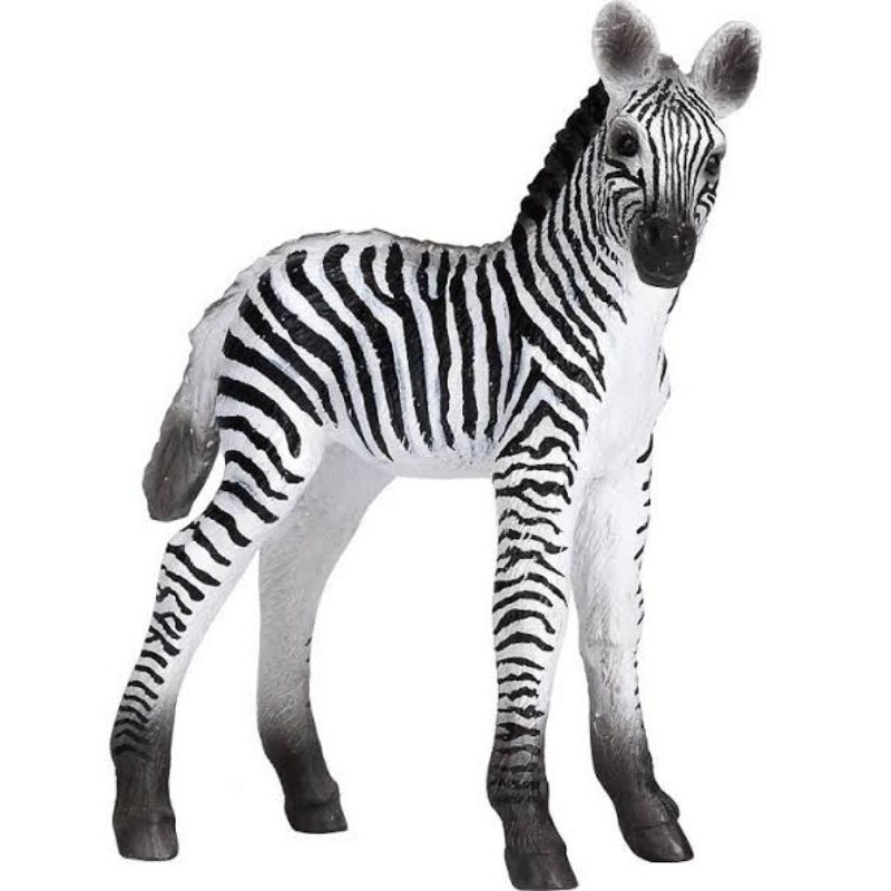 Mojo Zebra Foal