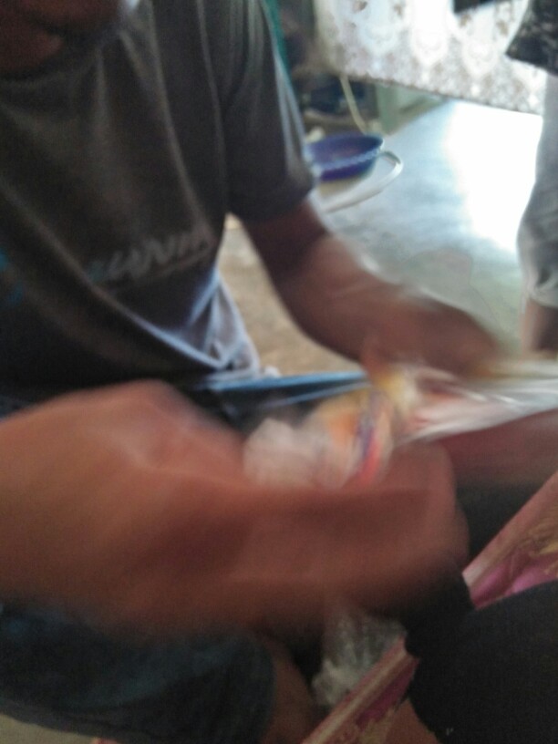 Tetelo Plus 10 Caps Obat Anti Tetelo Dan Ndv Ayam Syaraf Saraf Kepala Berputar Ngorok