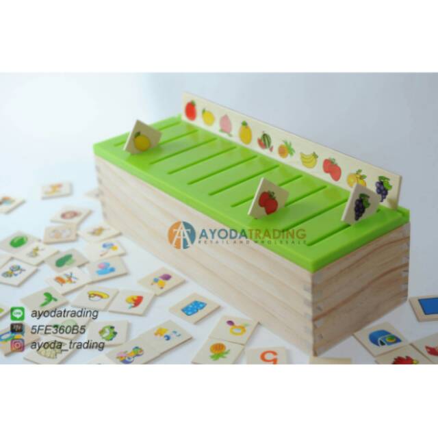 Classification Box Sorting Game mainan edukasi mainan montessori