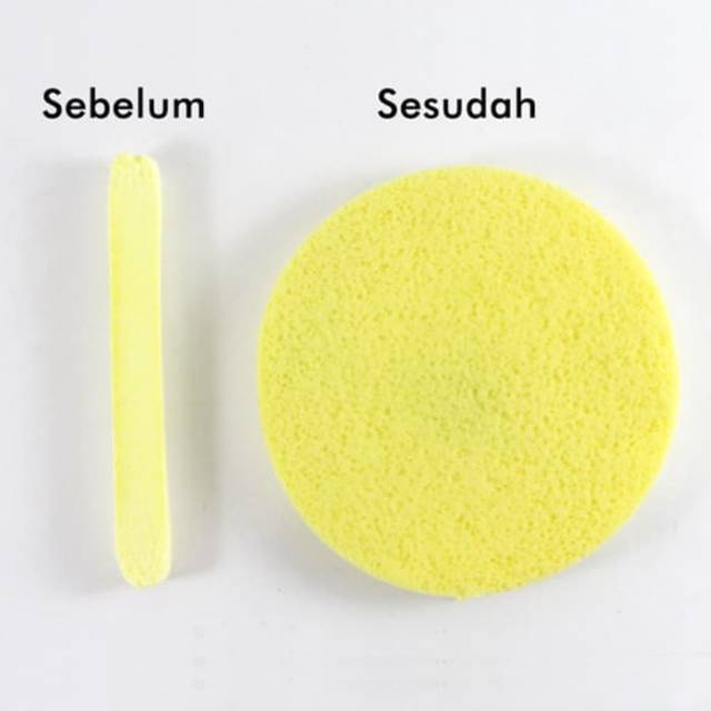 SPONGE STICK, SPON WAJAH KECANTIKAN / SPONS CUCI MUKA / FACIAL SPONGE