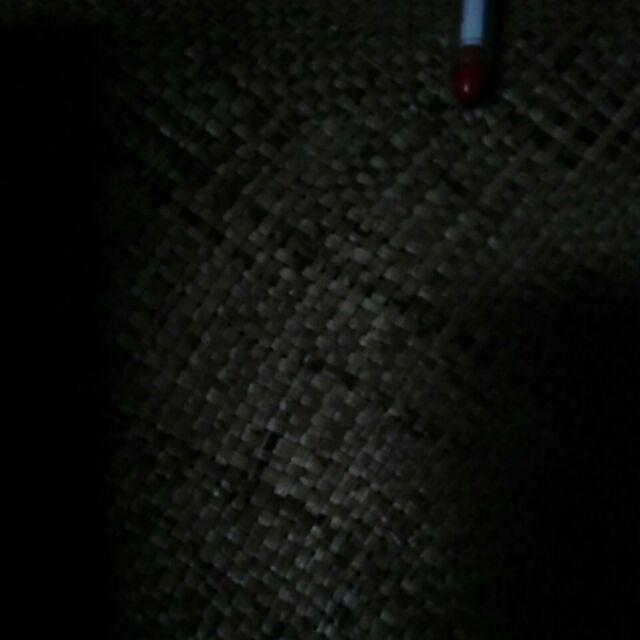 Poster Hewan Reptil Ampibi Murah