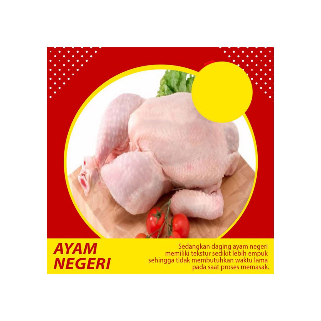 

AYAM NEGERI - 1 EKOR