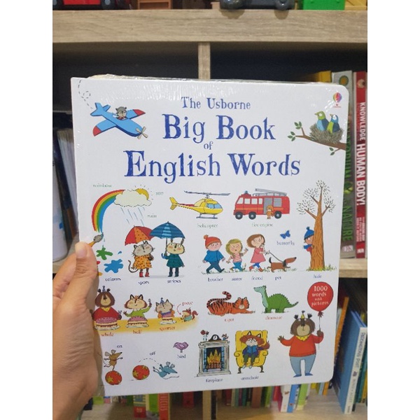 Usborne Big Book English Word
