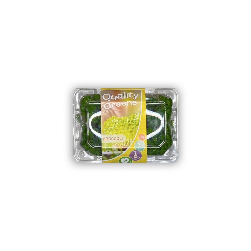 

MICROGREENS BROKOLI - Sayuran Salad
