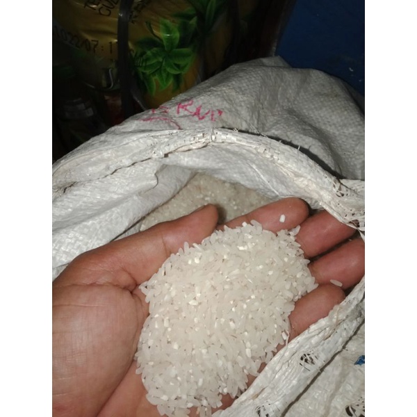 

Beras Putih Beras Pulen Beras Tanpa Pengawet Beras Punel Beras Murah Kualitas Super Per 1000gram