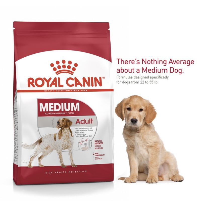 Royal Canin Medium Adult 10kg / RC makanan anjing dewasa ras sedang