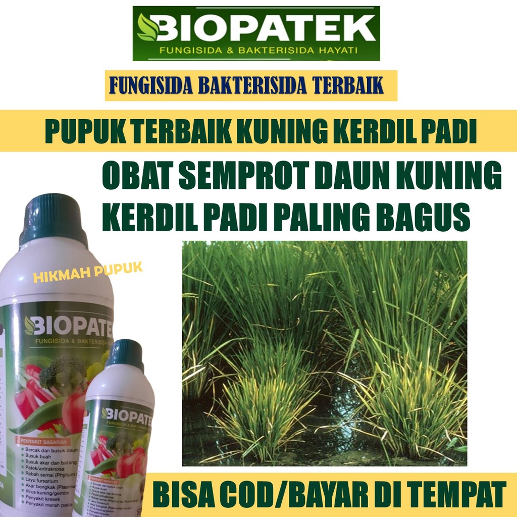 (BAYAR DI TEMPAT) Pupuk Semprot Atasi Kerdil Rumput Hampa Padi BIOPATEK Isi 500 ML, Pupuk Padi Terba