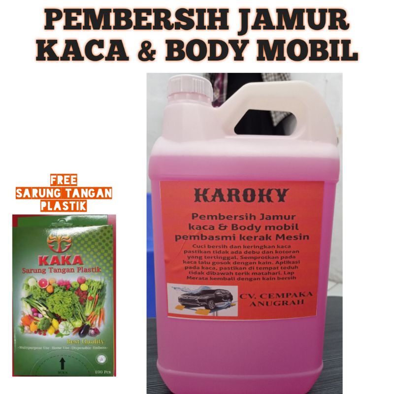 Pembersih Kerak Jamur Kaca dan Body Mobil 5Liter