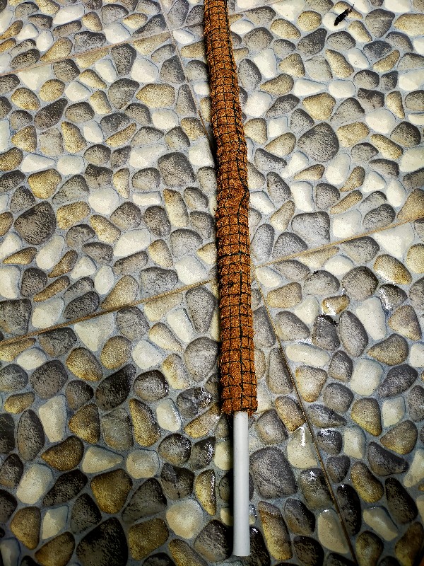 Rambatan |turus Peyangga Tanaman Rambat Panjang 60cm