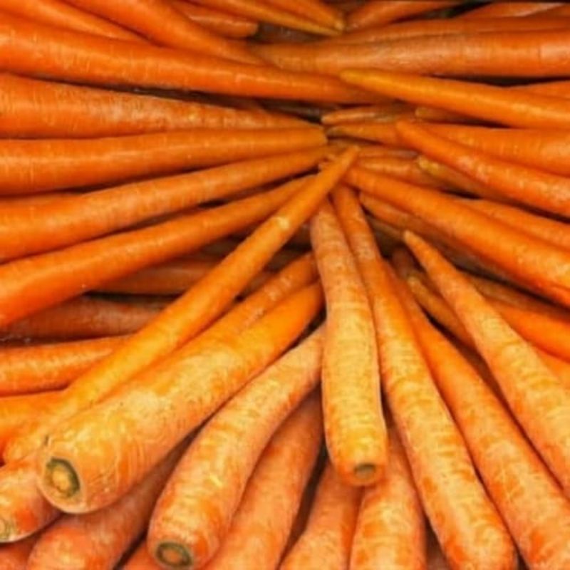 

wortel sayur segar