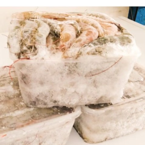 

Udang Fresh/Frozen
