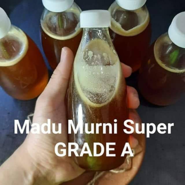 

Madu asli murni 100% tanpa campuran asli sumbawa [COD] Bayar di tempat