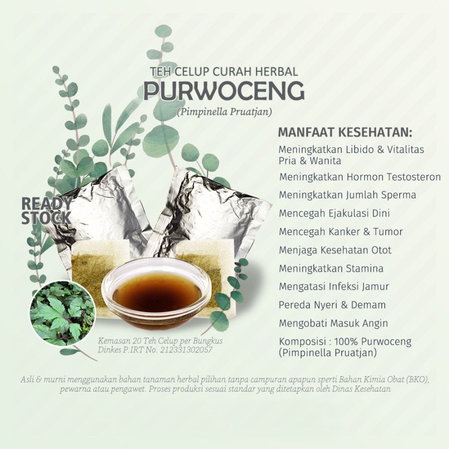 

Teh Celup Herbal Purwoceng Suripandak Abang Gabangan Depok Purwaceng Antanan Gunung
