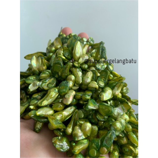 kerikil KERANG KESHI YELLOW tetes OVAL fresh water shell BAROK Kuning