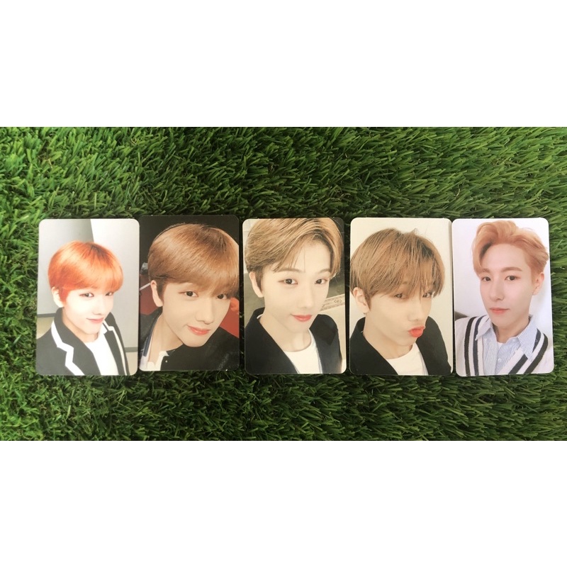 Dreamshow dream show ds renjun jisung photocard pc nct dream