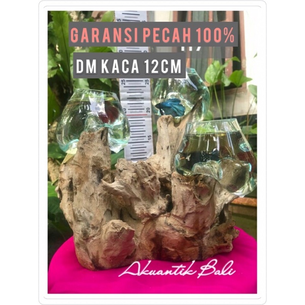 AQUARIUM TIUP/KACA/KAYU/TINGKAT3/12CM