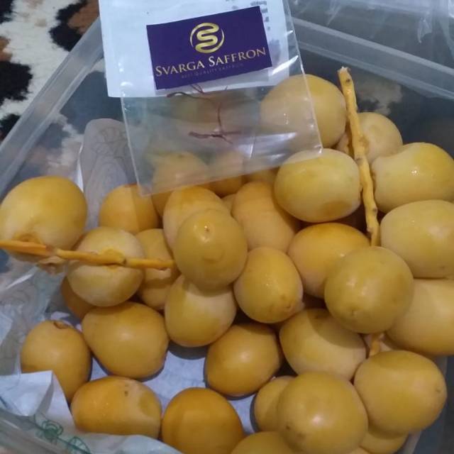 

Kurma muda Promil promo merah kuning hijau (zuriat/saffron)