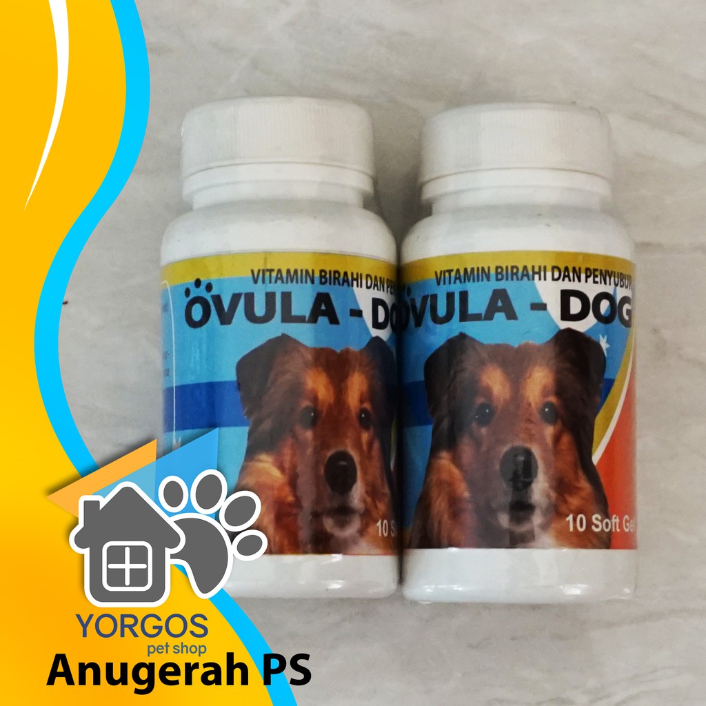Ovula Dog Vitamin Birahi Anjing