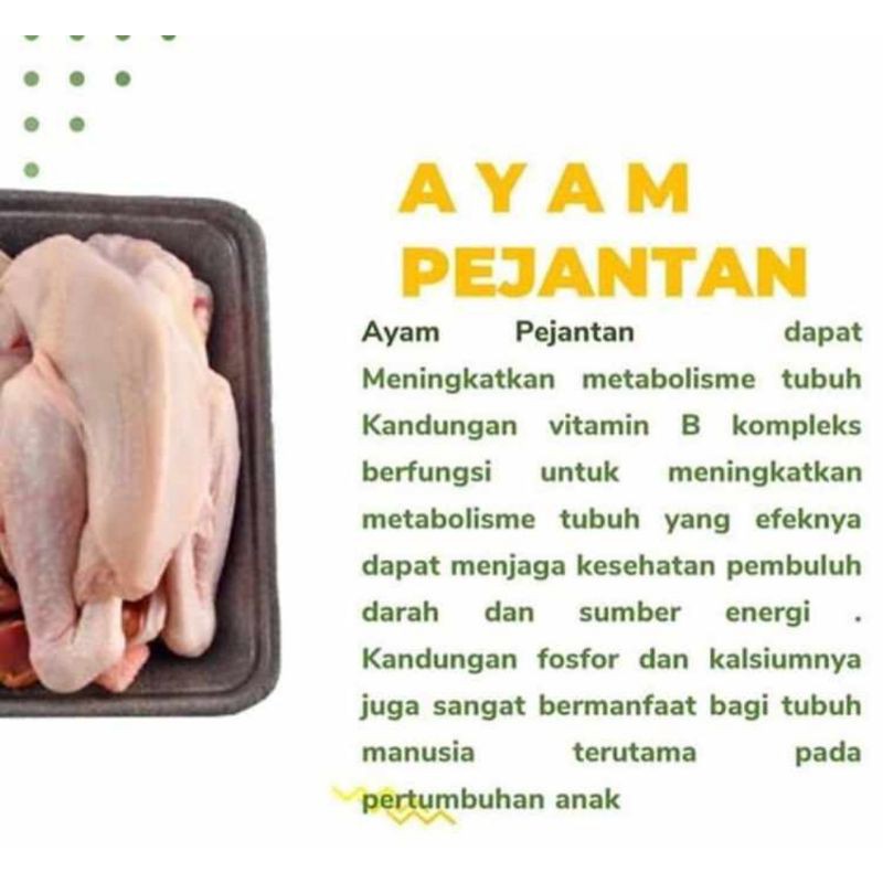 

BAH Ayam pejantan terlaris grosir bandung