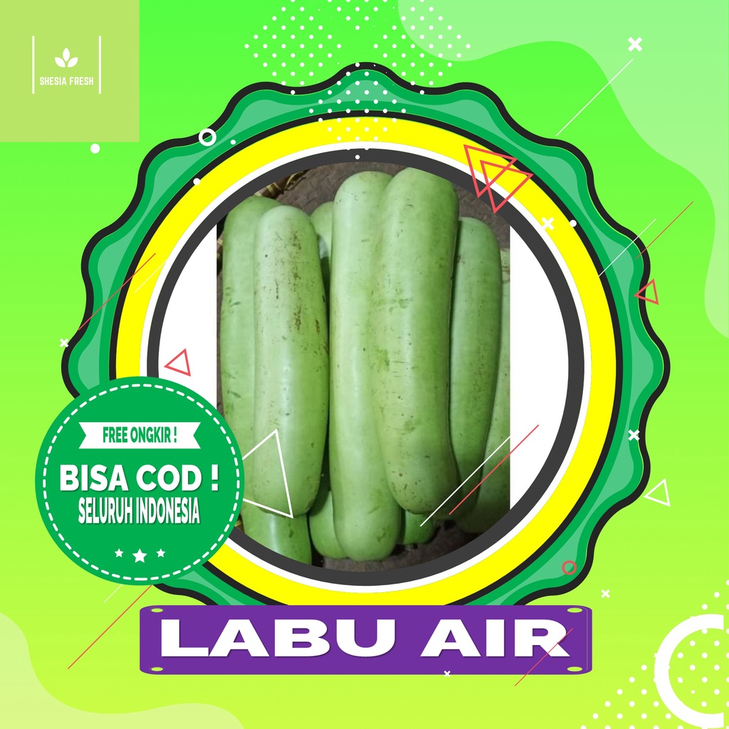 

Shesia Fresh - Labu Air Organik 1 Pcs