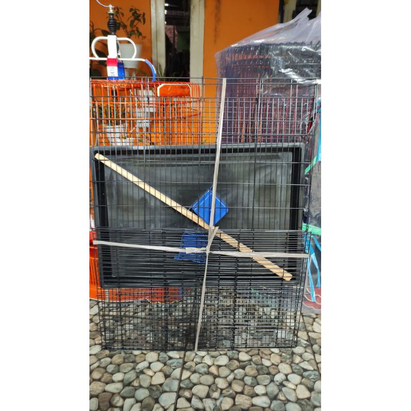 kandang kotak Lovebird