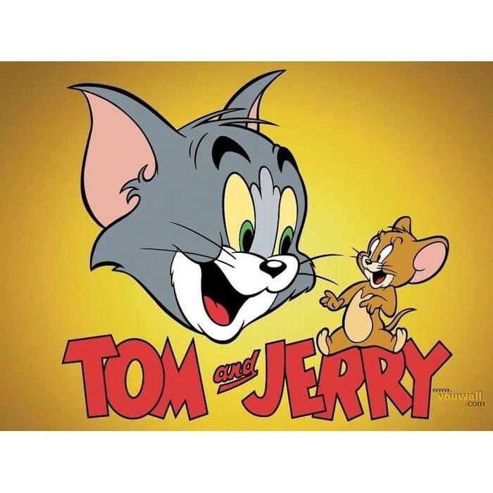 DVD Film Tom and Jerry Complete Series Collection  1940 2007  Limited