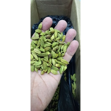 

Kapulaga hijau 100gr / Cardamom