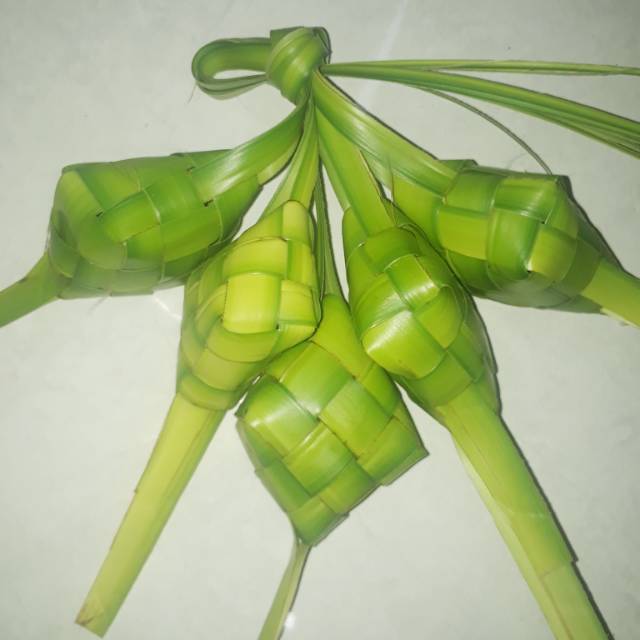 Bungkus ketupat daun kelapa | Shopee Indonesia