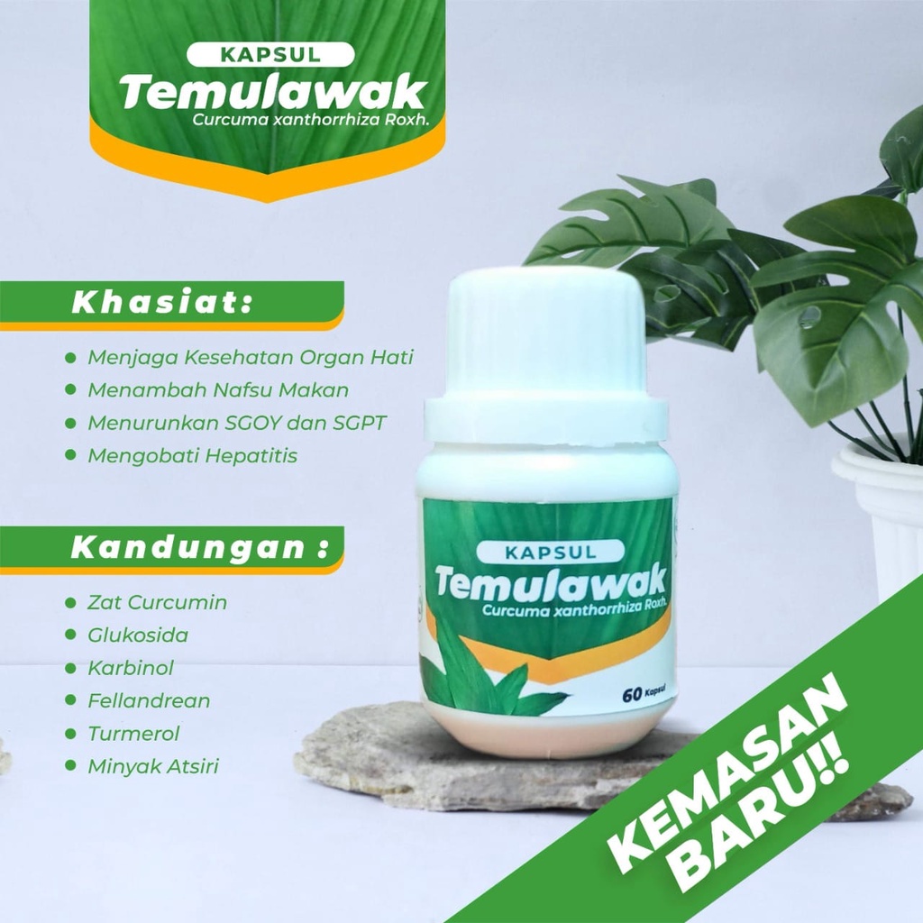 

TERMURAH Kapsul Temulawak Prof Dwiyati 100% ORIGINAL, isi 60 kapsul