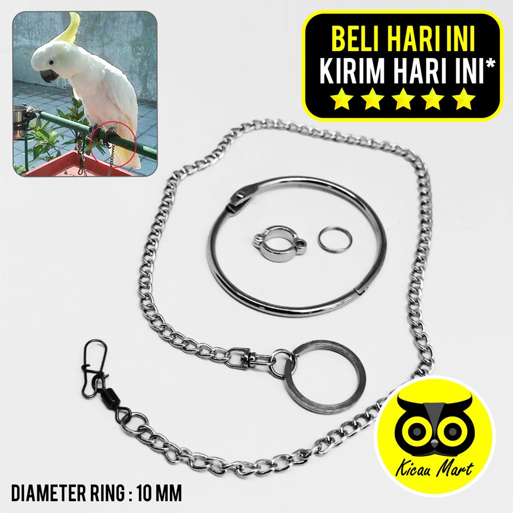 RANTAI FREE FLYING BURUNG KAKI KAKATUA MEDIUM BEO MERPATI AYAM SERAMA RANTAI FULLSET GELANG RING BORGOL 10 MM FF RANTAI GELANG KAKI BURUNG KAKA TUA RANTAI TRAINING LATIH BURUNG RTFL10M