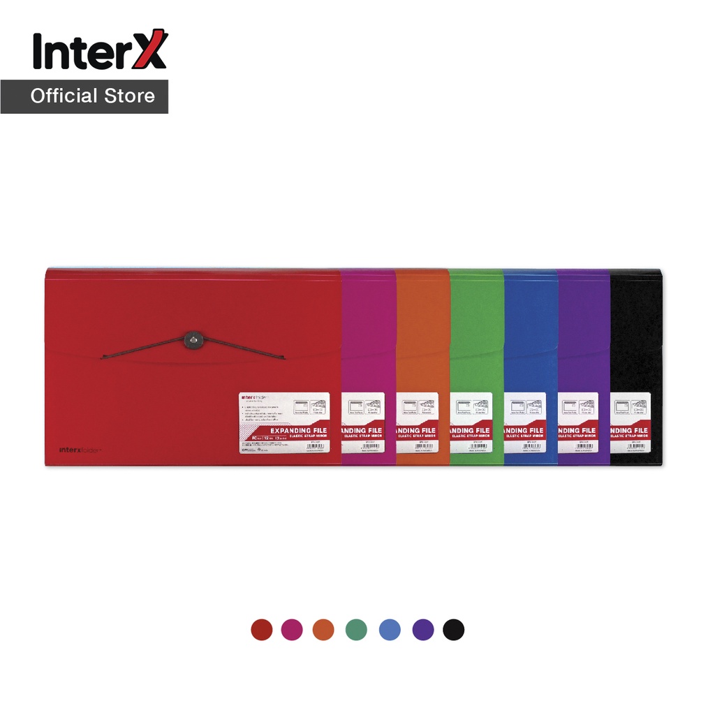 

InterX Expanding File Elastic 12 Tabs Mirror Series