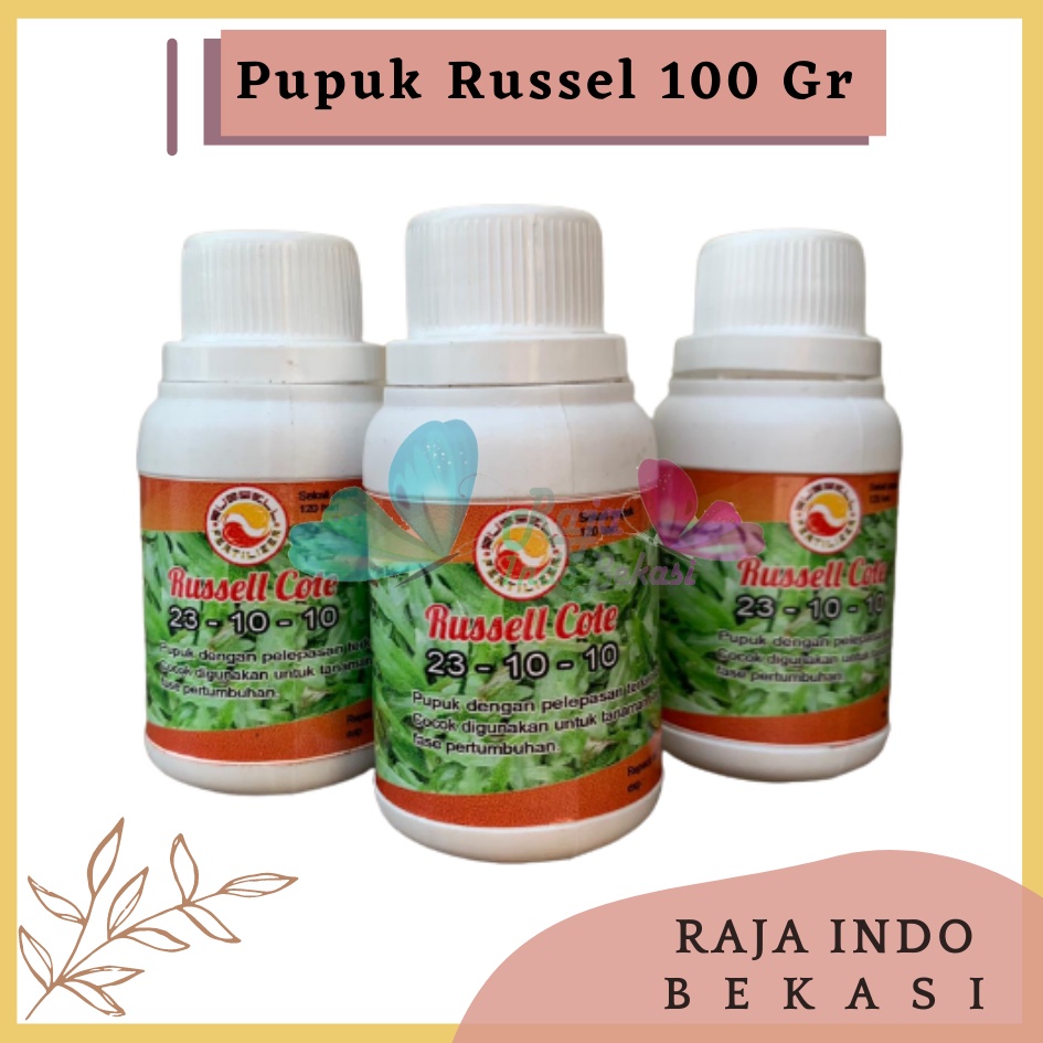 Pupuk Russell Cote Slow Release 23-10-10 100 Gr Pupuk Osmocote 23-10-10 Aglonema Monstera, dan Tanaman masa vegetatif Pupuk Slow Release Original Untuk Sawit Thailan Dus Bonsai - Russell Cote Slow Release 23-10-10 Pupuk Osmocote 23-10-10 Aglonema dll