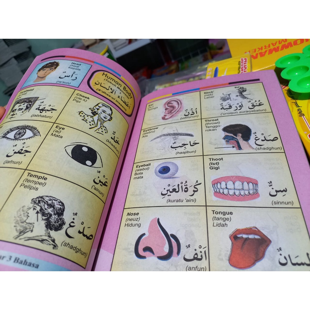 Buku Anak - Kamus 3 Bahasa (Indonesia - Inggris - Arab)