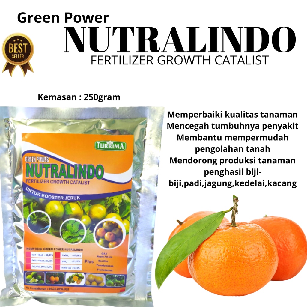 Booster Jeruk Pemicu Pembungaan Pembuahan, Pupuk Jeruk Santang Madu Cepat Berbuah, Pupuk Nutralindo 