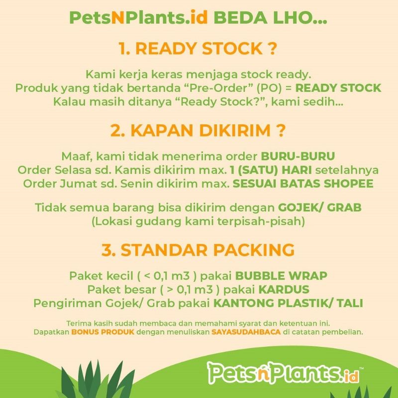 Rantai Plastik Mainan Sugar Glider Burung Aksesoris Kandang Akrilik
