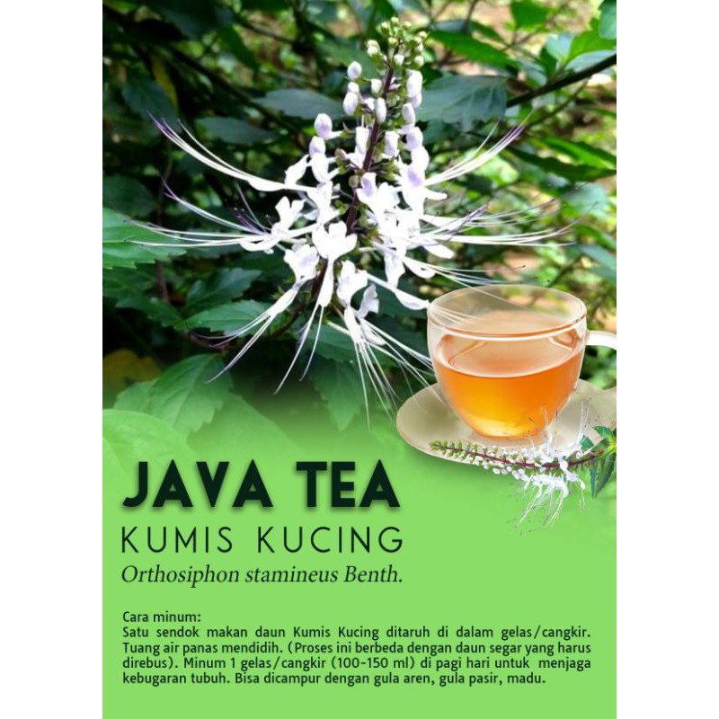 RAW TISANE Cat Whiskers Tea : Teh Daun Kumis Kucing / Teh Celup Daun Kumis Kucing Isi 30 Tea Bag